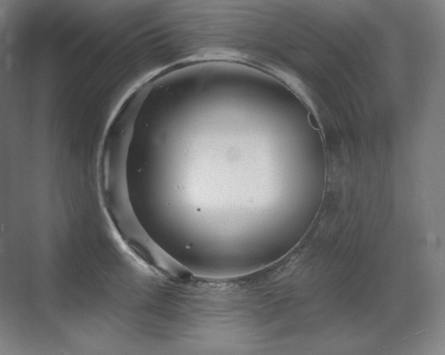 X0000070221003200605261313