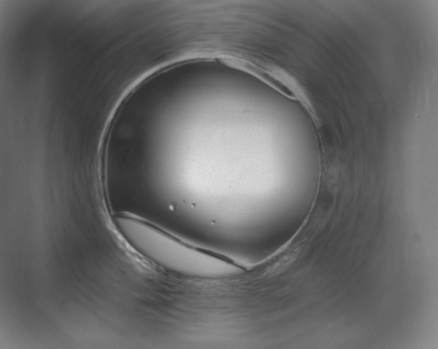 X0000070221004200605261313