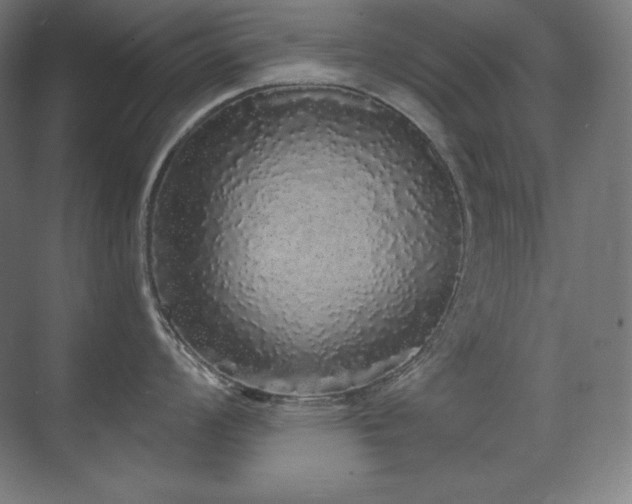 X0000070221008200605261313