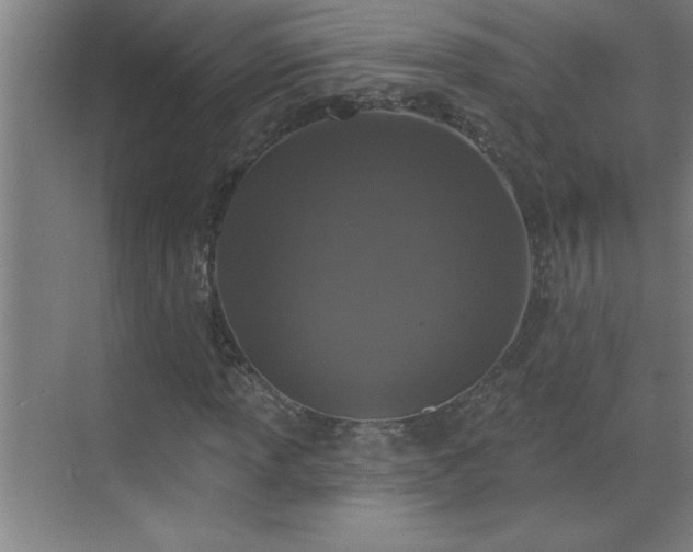 X0000070221013200605261312