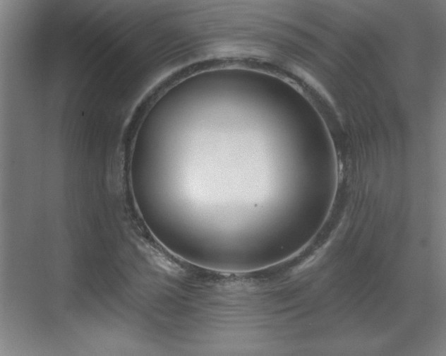 X0000070221021200605261312