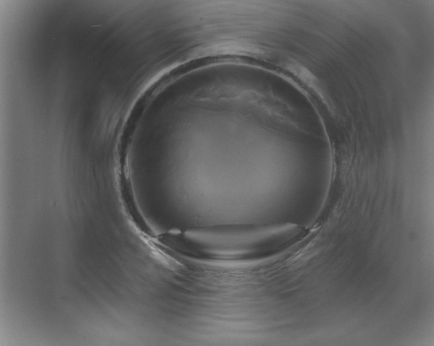 X0000070221024200605261312