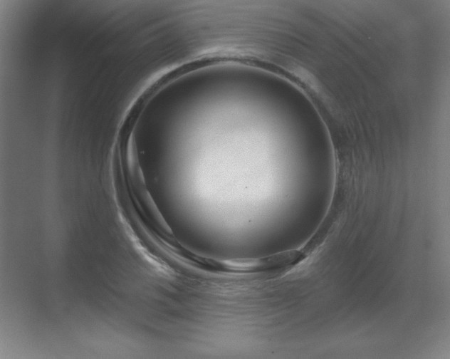 X0000070221030200605261312