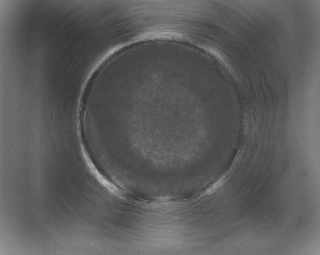 X0000070221038200605261313