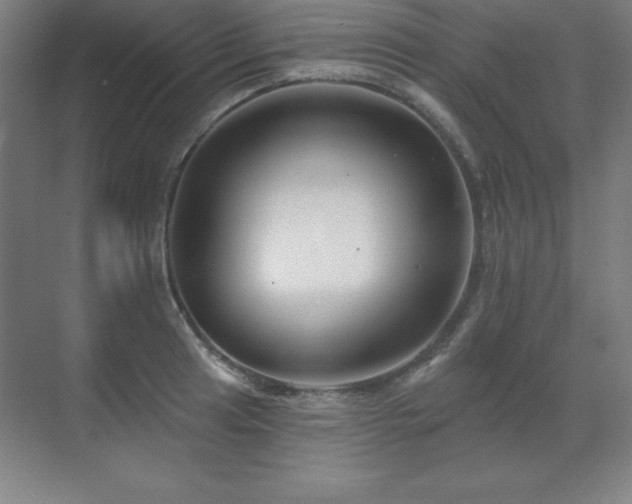 X0000070221041200605261313
