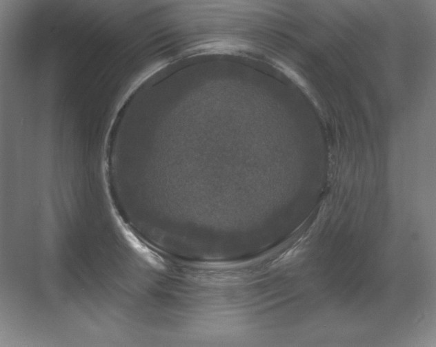 X0000070221042200605261313