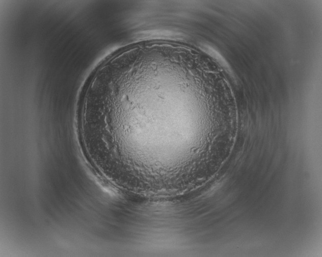 X0000070221043200605261313