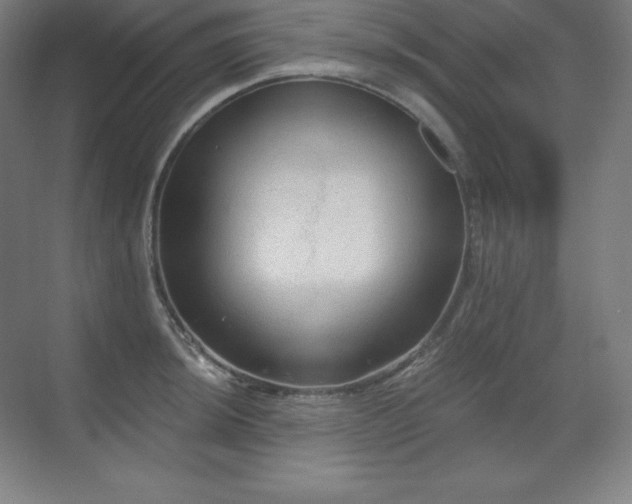 X0000070221044200605261313