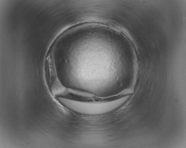 X0000070221048200605261313