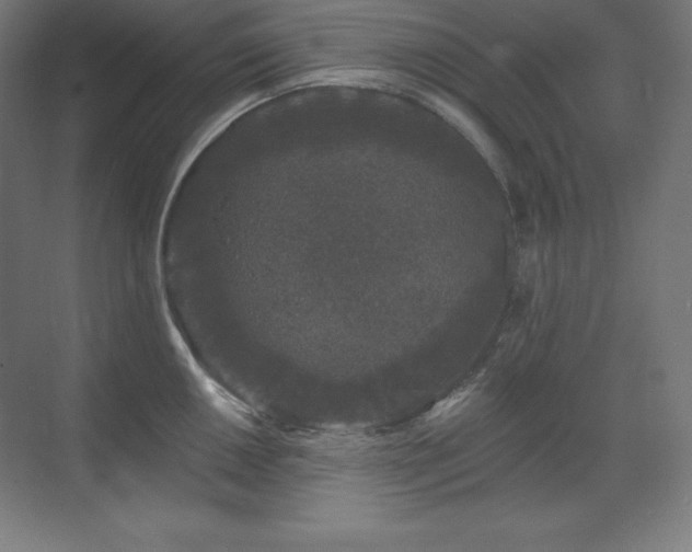 X0000070221050200605261313