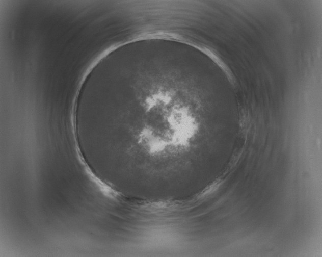 X0000070221054200605261313