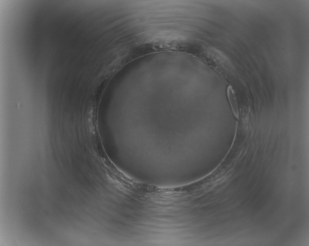 X0000070221060200605261312