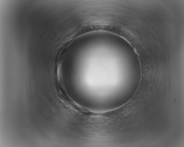 X0000070221061200605261312
