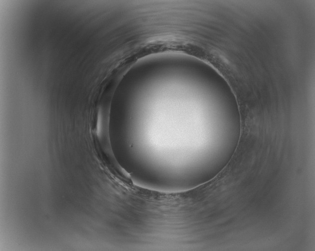 X0000070221062200605261312