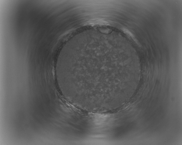 X0000070221063200605261312