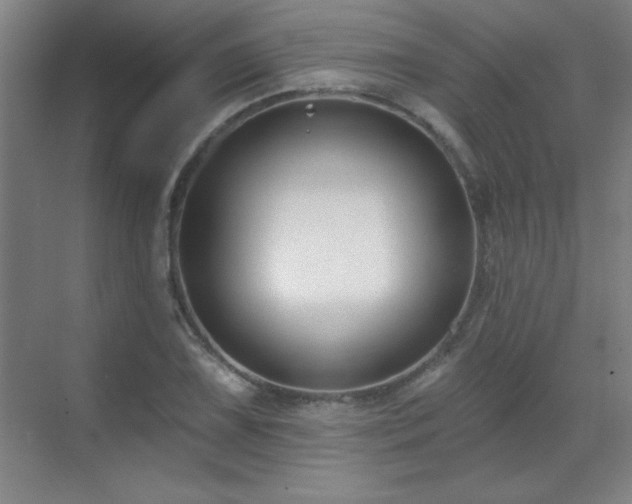 X0000070221075200605261312
