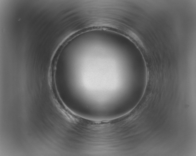 X0000070221076200605261312