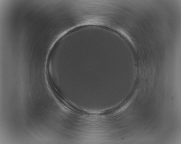 X0000070221077200605261312