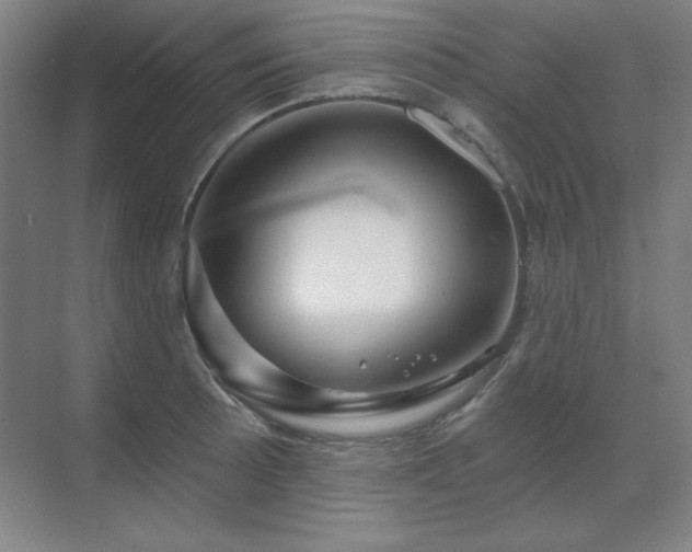 X0000070221089200605261311