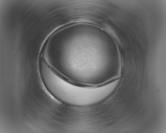 X0000070221092200605261311