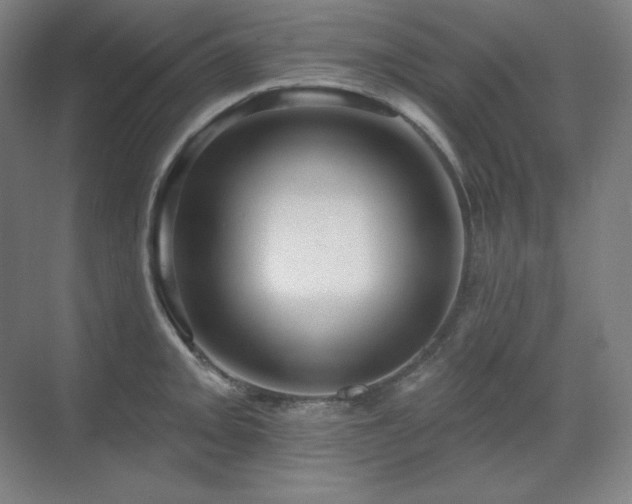 X0000070221093200605261311