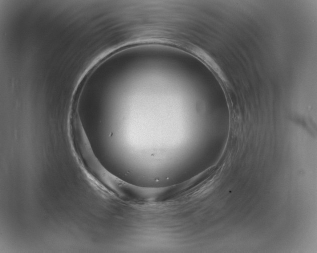 X0000070221101200605261311