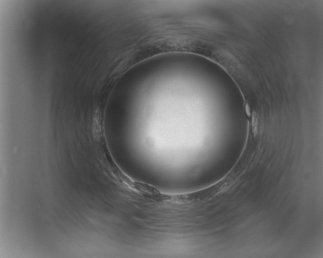 X0000070221107200605261310