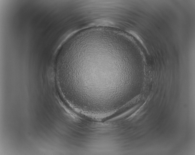 X0000070221115200605261311