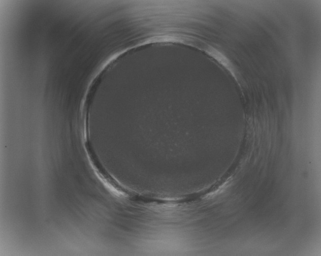 X0000070221127200605261311