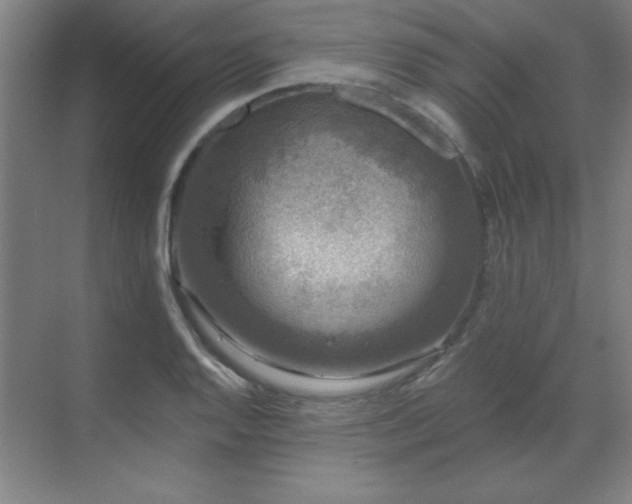 X0000070221128200605261311