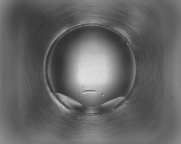 X0000070221135200605261311