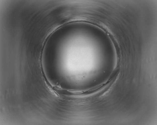 X0000070221137200605261311