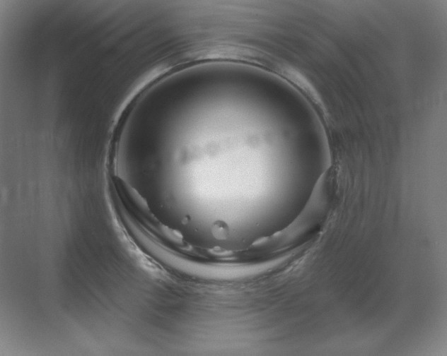 X0000070221138200605261311