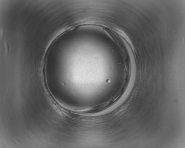 X0000070221146200605261311