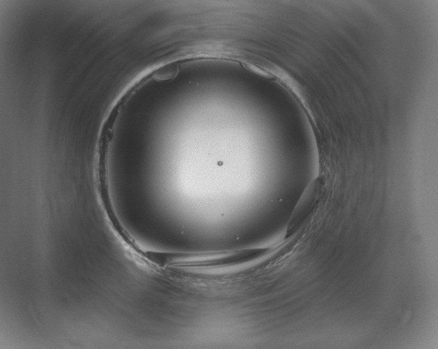 X0000070221147200605261311