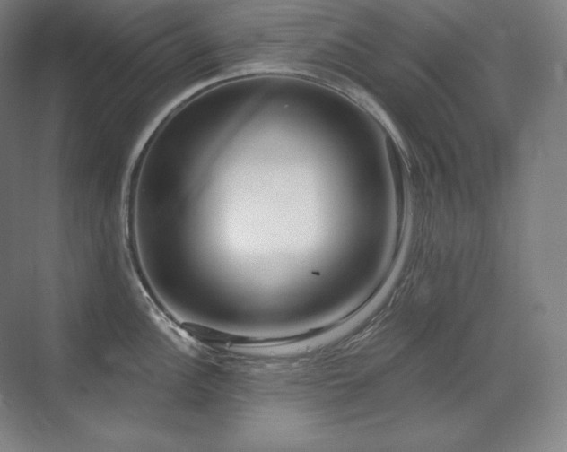 X0000070221148200605261311