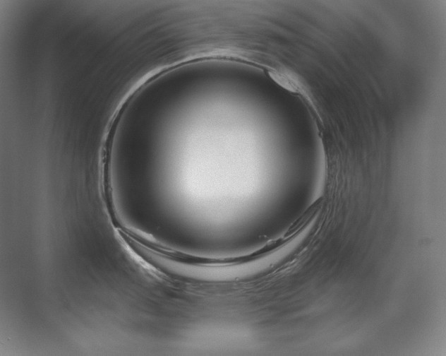 X0000070221151200605261311