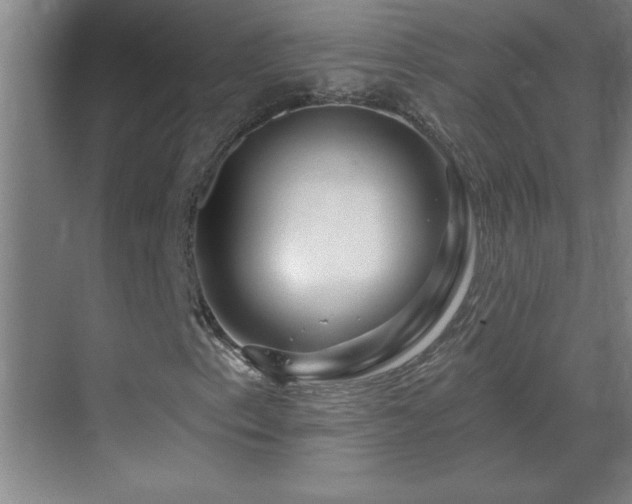 X0000070221153200605261310