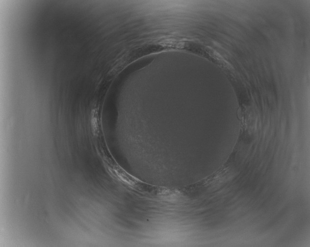 X0000070221154200605261310