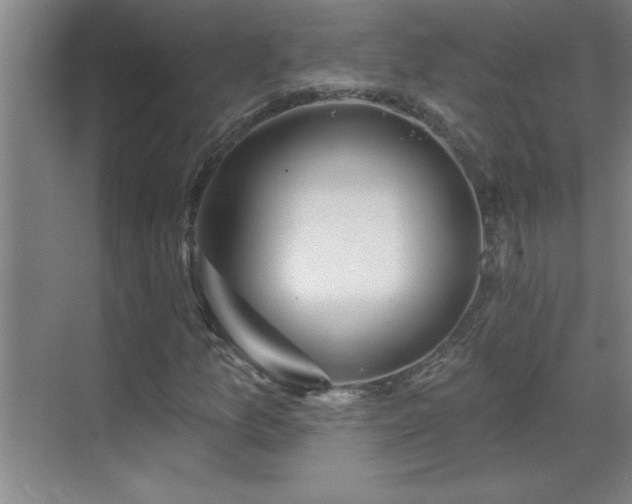 X0000070221157200605261310