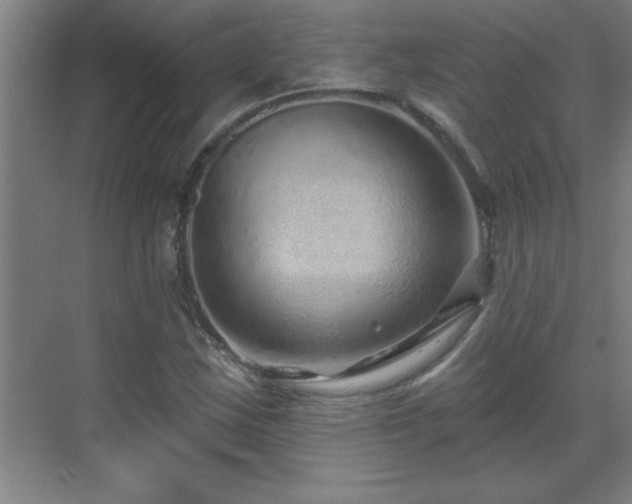 X0000070221163200605261310