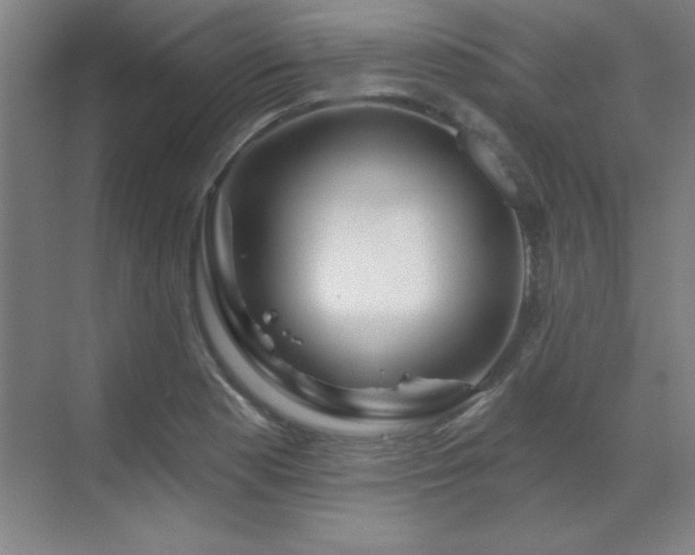 X0000070221177200605261310