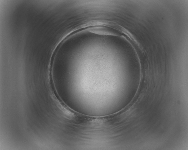 X0000070221178200605261310