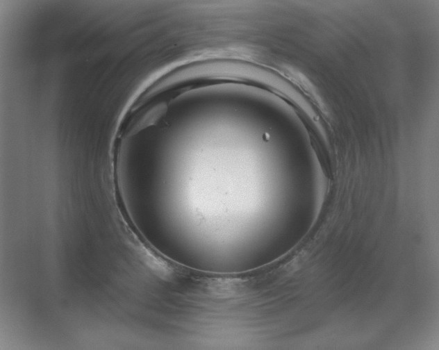 X0000070221184200605261310