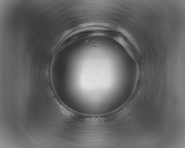 X0000070221185200605261310