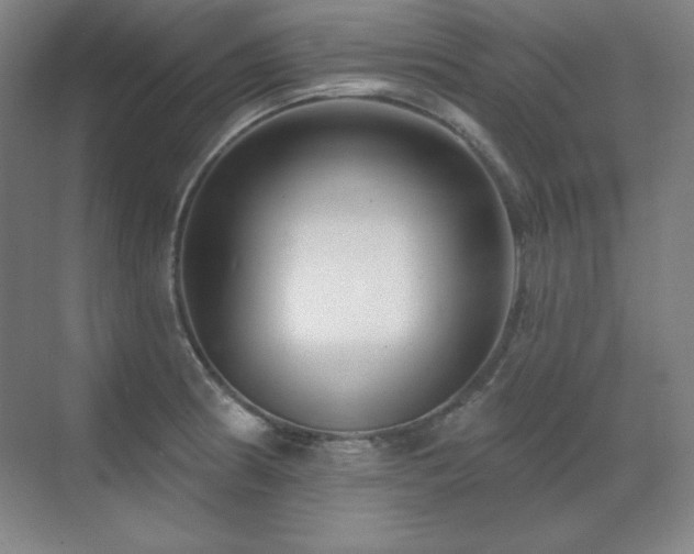 X0000070221186200605261310