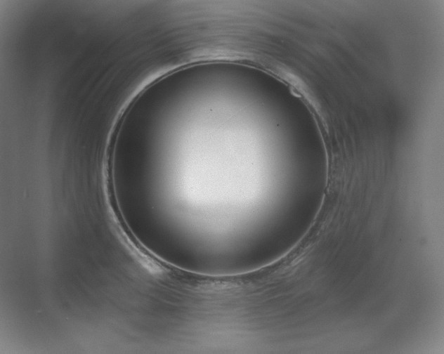 X0000070221187200605261310