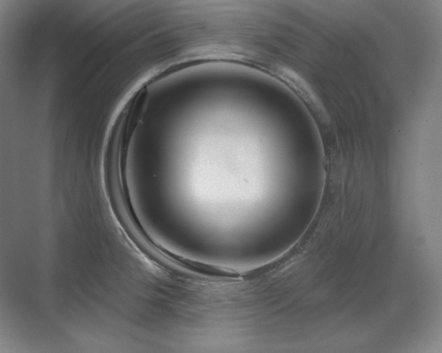 X0000070221188200605261310