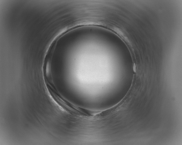 X0000070221189200605261310