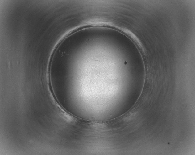 X0000070221191200605261310